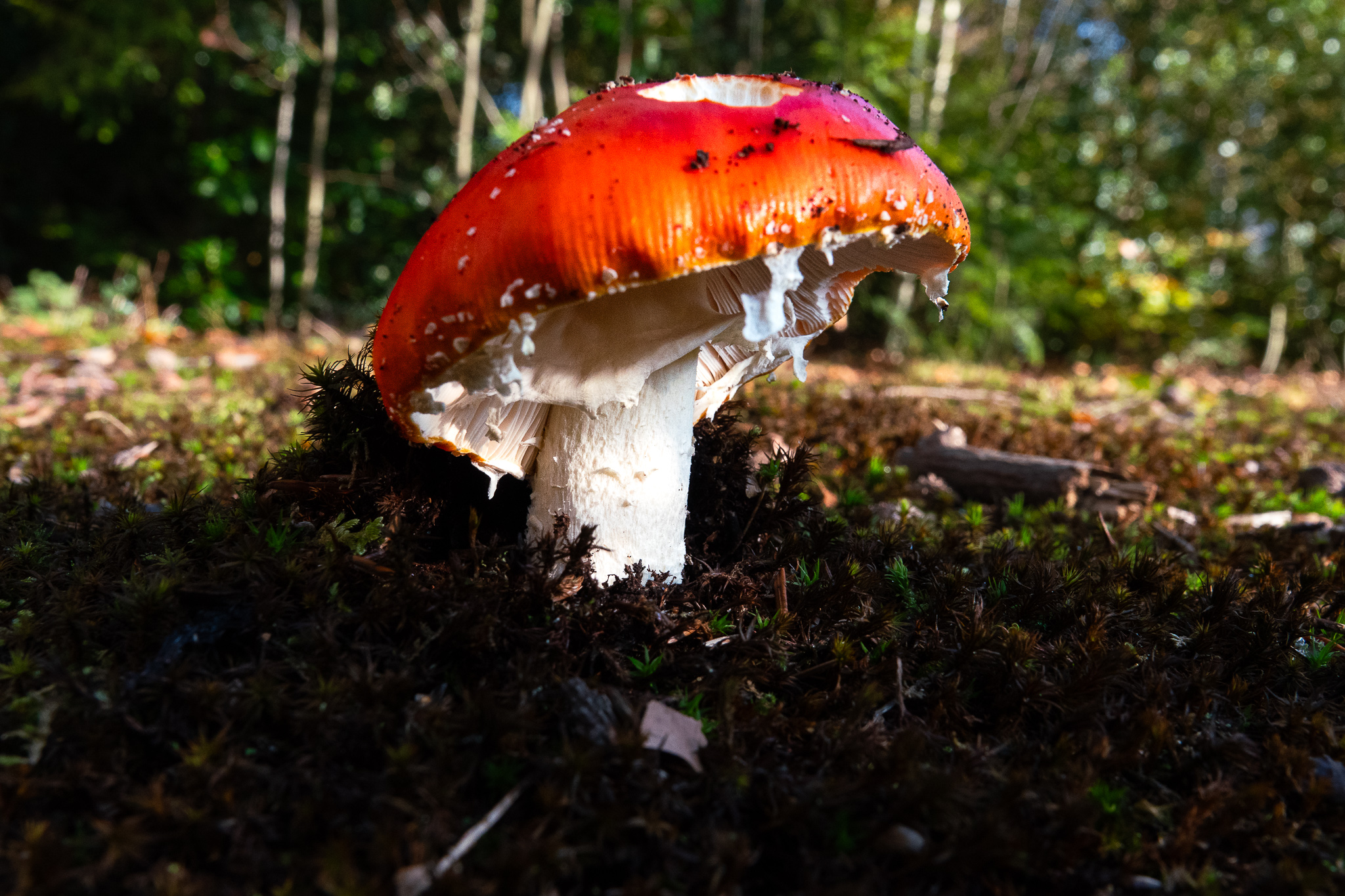 20251108   Huys te Warmond met Brigitte   010